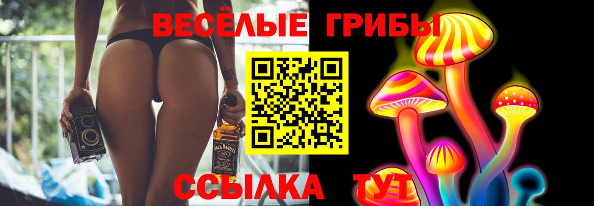 Псилоцибиновые грибы прущие грибы  Вход с VPN  Кыштым 
