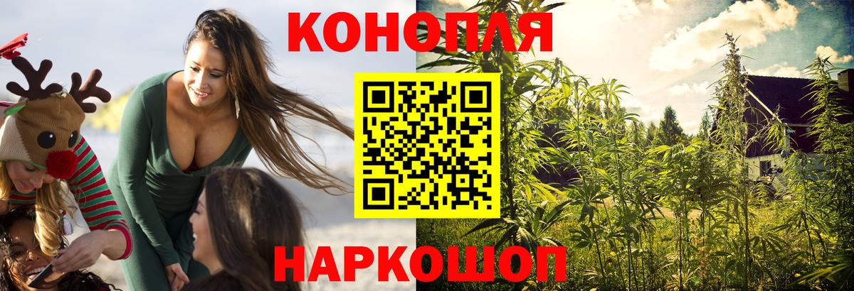Конопля конопля  Вход с VPN  Бошки марихуана индика  Кыштым  Марихуана ГИДРОПОН 